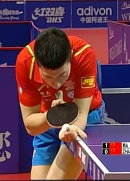 彼此实力的 彼此实力的