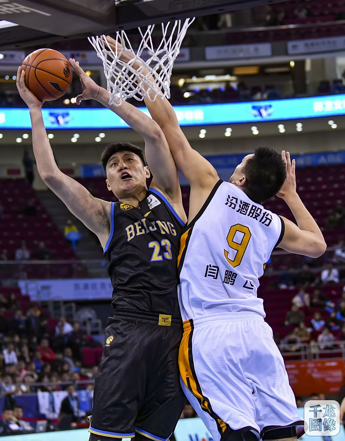 数据揭示 数据揭示